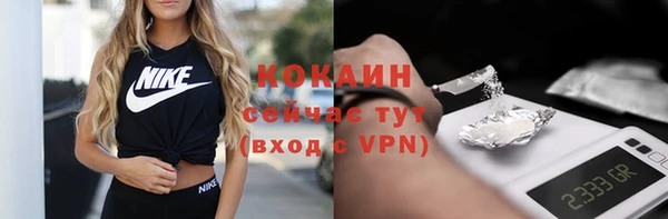 шишки Арсеньев